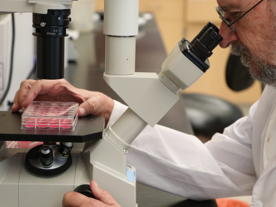 Dr. Charles Gerba examines a sample under a microscope in a University of Arizona lab