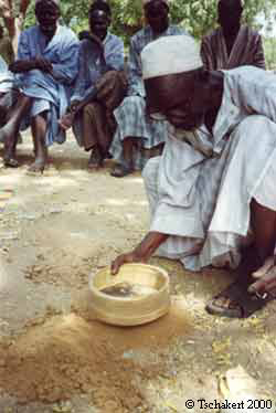 photograph of Senegalese farmer explaining signs of soil fertility