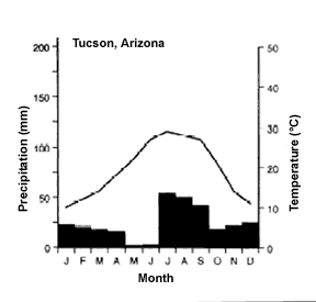 Annual precipitation and temperature, Tucson, Arizona
