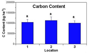 Carbon content