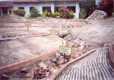 photograph of soil conservation structures
