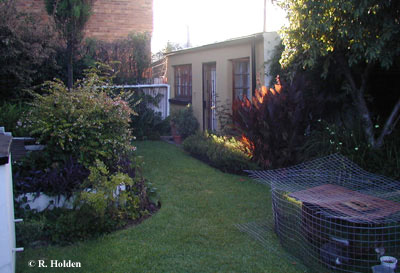 As this photo shows, the yard at 28 Natal Street looks just like any "normal" yard; the use of water efficiency practices does not detract in any way from the pleasant scene.