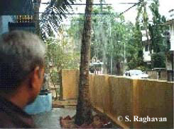 photo of overhead pipe "trellis" structure being used to simulate rainfall and rainwater harvesting.