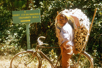 Photo of man carrying fuelwood