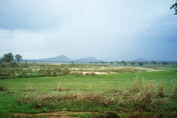 Photo of Vwaza Marsh Wildlife Reserve