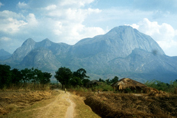 Photo of Mulanje Mountain Forest Reserve