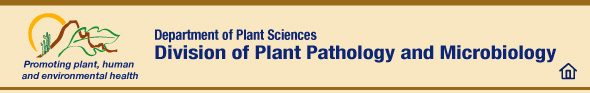 Division of Plant Pathology and Microbiology in Plant Sciences Department