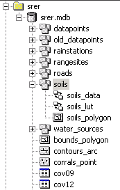 Tree view of a personal geodatabase in ArcCatalog.