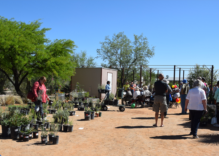 Spring Plant Sale in the UA Discover Garden at UA Sierra Vista