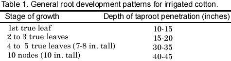 Table 1. General root development patterns for irrigated cotton.