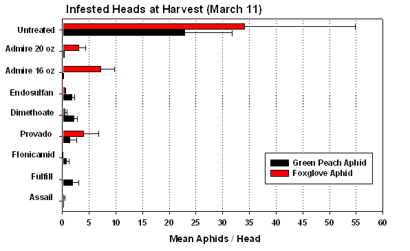 Bar graph of the number of lettuce heads infested with green peach aphid or foxglove aphid in plots treated with the same insecticides listed in figure 1.
