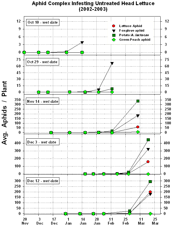 Graphs showing the averarge number of different aphid species infested untreated head lettuce, planted at 5 different dates during the fall and winter of 2002-2003.