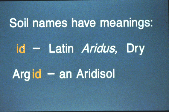 Aridisols Slide 8