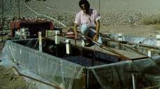 Former UA graduate student Moysar Yahya with experimental infiltration basin at the  Sweetwater facility in Tucson.