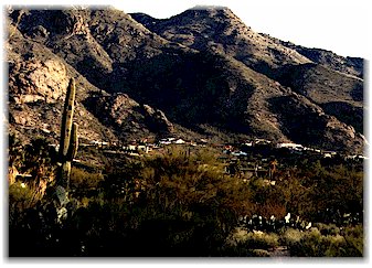 Foothills Property Management on Kathleen Lohse At University Of Arizona