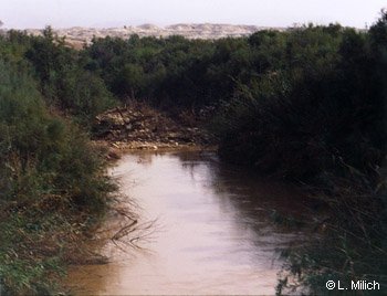 Jordan River, Allenby Bridge