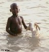 Life along the Niger thumbnail