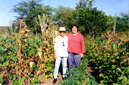 Polyculture cropping system developed for dryland region of Brazil