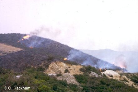 photo of occupational fires in Crete
