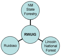 diagram: original members of Ruidoso Wildland-Urban Interface Group
