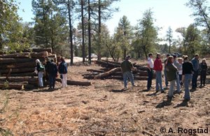 on-site demonstration of tree removal for fire hazard mitigation