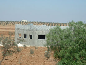 Building and Farm Land in Jordan