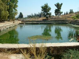 Irrigation Pond in Jordan