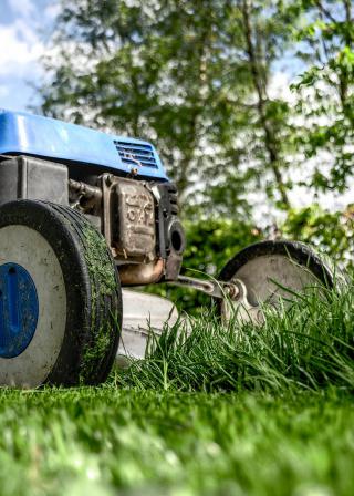 blue lawnmower cutting grass with tree in background (Pixabay CC0:384589 / Skitterphoto)