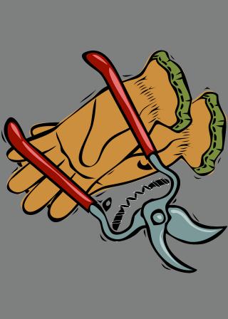 pruning shear and gloves illustration (Pixabay CC0:24437 / Nemo)