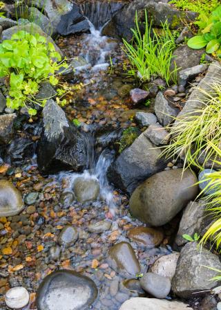 bubbling brook water feature with stones and plants (shutterstock:200217158 (C) Zigzag Mountain Art)