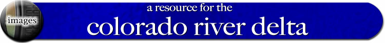 colorado river delta imaging requirements