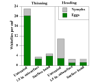 Figure 2. Response of Whiteflies on Lettuce
