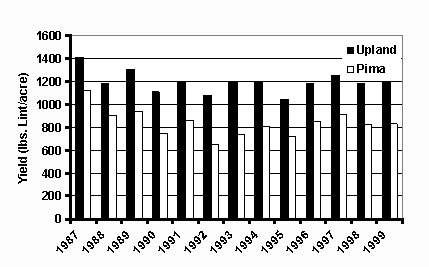 Figure 2. Graph of yield of both Upland and Pima cotton in Arizona from 1987 - 1999.