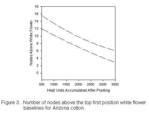 Figure 3. Graph of number of node above the top first position white flower baselines for Arizona cotton.