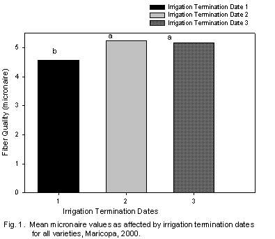 Graph of mean micronaire values as affected by termination dates for all varieties, Maricopa, 2000. (Irrigation termination date 2 and 3 have significantly higher micronaires than  Date 1)