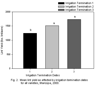 Figure 2. Graph of the mean lint yield as affected by irrigation termination dates for all varieties, Maricopa, 2000. (lint yield of termination date 1 is significantly less than dates 2 and 3)