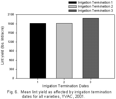 Figure 6. Graph of mean lint yield as affected by irrigation termination dates for all varieties, YVAC, 2001.
