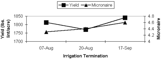 Figure 2. Irrigation termination treatment effects on
        yield and micronaire, Maricopa, AZ, 1997. [Variety = DP 33b, date of planting
        = 9 April, and cut-out was evident on 4 August 1997]
