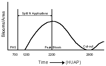 Figure 1. An illustration of the optimum time to apply fertilizer nitrogen (N application window) and the reproductive (fruiting) cycle for cotton plants.