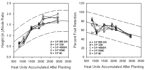 Figure 1. Height to node ratio and percent fruit retention values from Casa Grande, AZ, 1998.