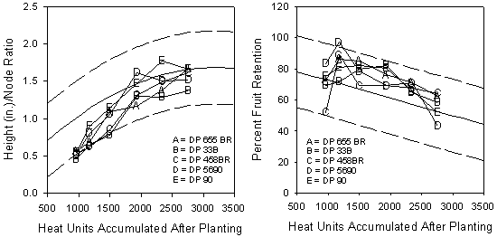 Figure 2. Height to node ratio and percent fruit retention values from Buckeye, AZ, 1998.