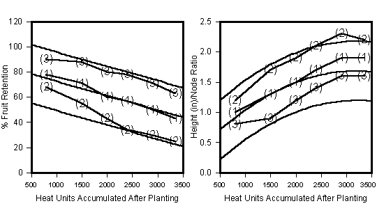 Three different management cases, % fruit retention and height to node ratios for each examples plotted on heat units accumulated after planting 