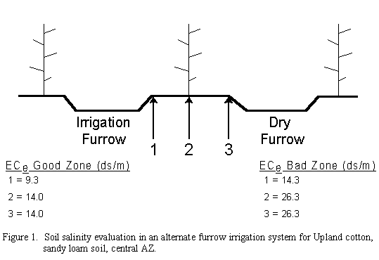 Figure showing soil salinity evaluation in an alternate furrow irrigation system for Upland cotton in sandy loam soil, central  AZ