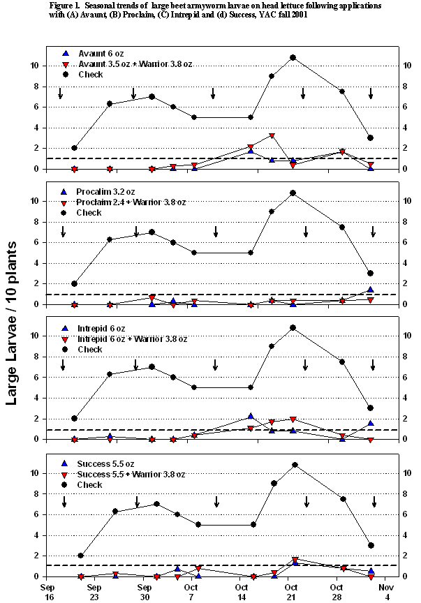 Four graphs showing the seasonal trends of large beet armyworm larvae on head lettuce following applications of Avaunt, Proclaim, Intrepid or Success in the fall of 2001 at YAC.