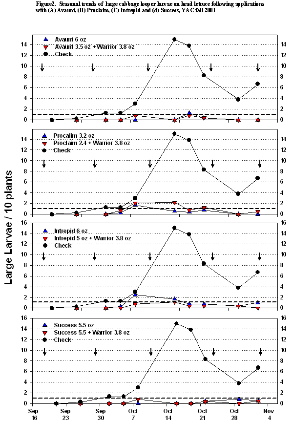 Four graphs showing the seasonal trends of large cabbage looper larvae on head lettuce following applications of Avaunt, Proclaim, Intrepid or Success in the fall of 2001 at YAC.