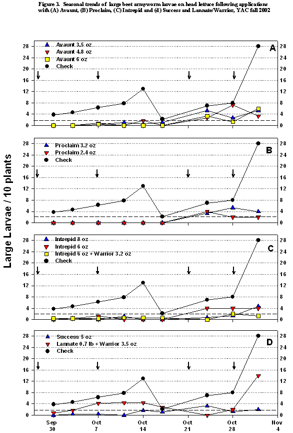 Four graphs showing the seasonal trends of large beet armyworm larvae on head lettuce following applications of Avaunt, Proclaim, Intrepid, Success and Lannate/Warrior in the fall of 20012at YAC.