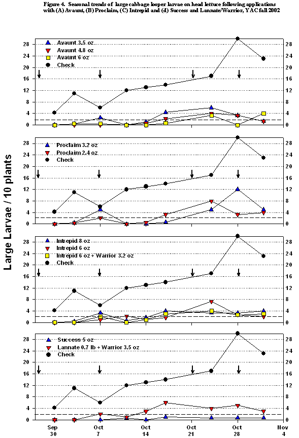 Four graphs showing the seasonal trends of large cabbage looper larvae on head lettuce following applications of Avaunt, Proclaim, Intrepid, Success and Lannate/Warrior in the fall of 20012at YAC