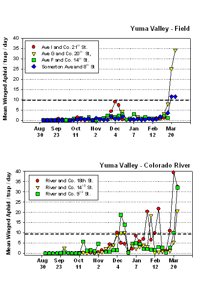 graph of the mean winged aphid number per trap per day from August 30 to March 20 for Yuma Valley - Field and Yuma Valley - Colorado River