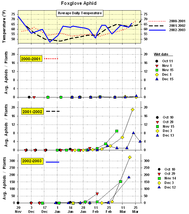 Graphs of average Foxglove Aphid densities on untreated head lettuce planted at intervals during growing season, YAC 1999-2003.  There is a graph above these 3 graphs that shows the average daily temperature during that year.