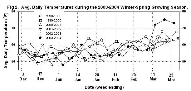 Figure 2 is a graph of the average daily temperatures during the 2003-2004 winter-spring growing season compared with temperatures in seasons going back to 1998.